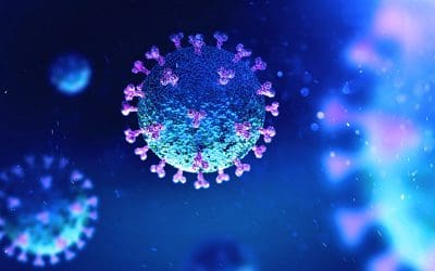 Protecting renters affected by coronavirus