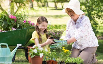How much is the State Pension?