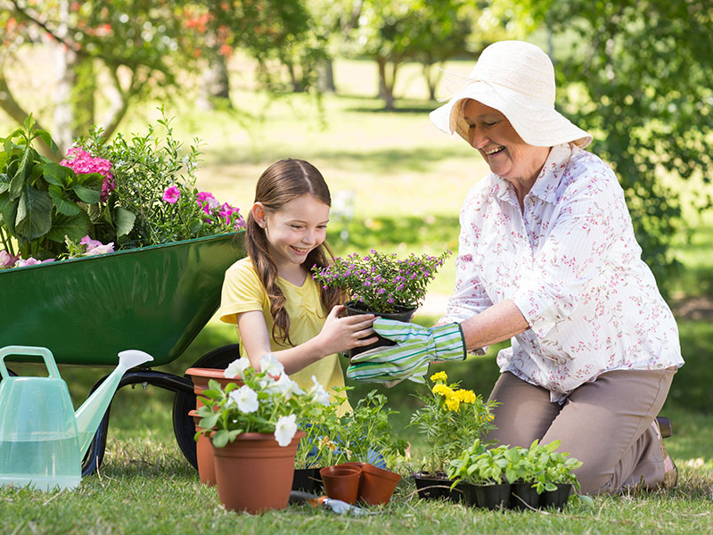 How much is the State Pension?