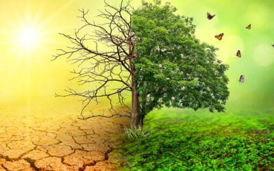 Investing with impact