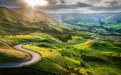Roadmap for investors