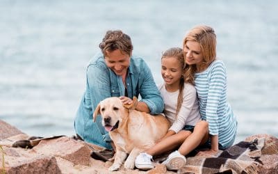 Looking to pass your assets on to the next generation?