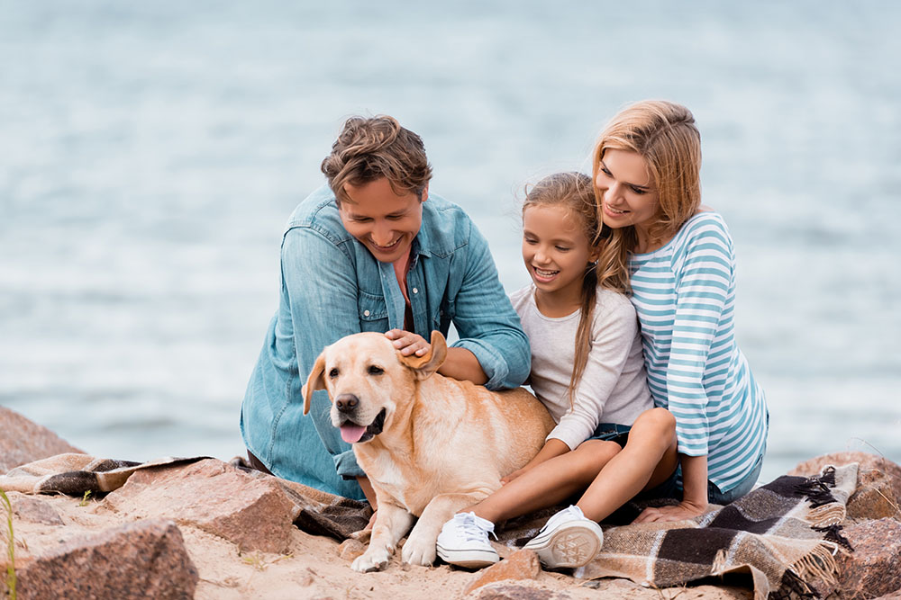 Looking to pass your assets on to the next generation?